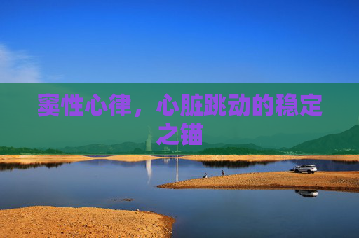 窦性心律，心脏跳动的稳定之锚