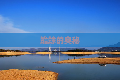 蟾蜍的奥秘