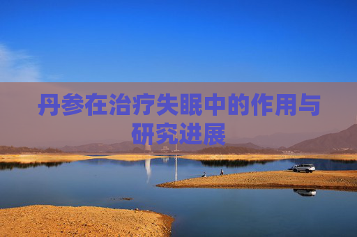 丹参在治疗失眠中的作用与研究进展