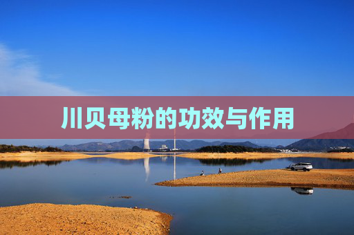 川贝母粉的功效与作用