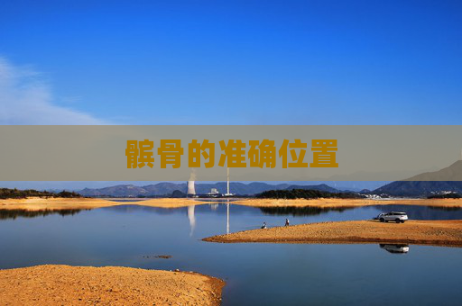 髌骨的准确位置