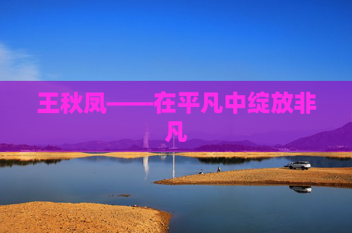 王秋凤——在平凡中绽放非凡