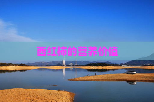 西红柿的营养价值