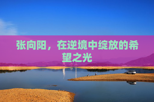 张向阳，在逆境中绽放的希望之光