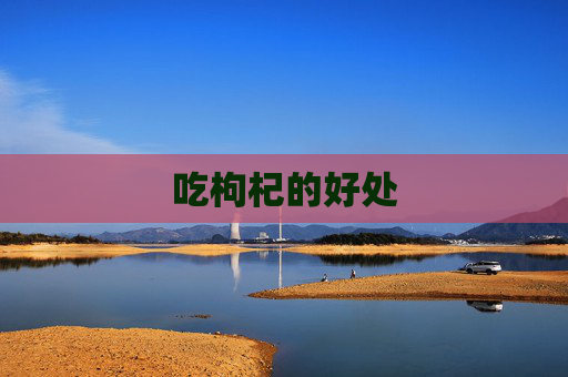 吃枸杞的好处