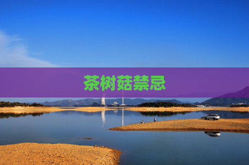 茶树菇禁忌