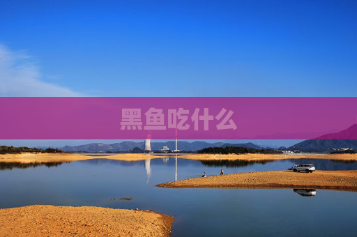 黑鱼吃什么