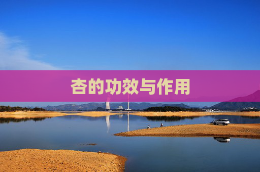 杏的功效与作用