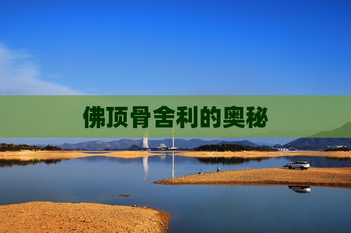 佛顶骨舍利的奥秘