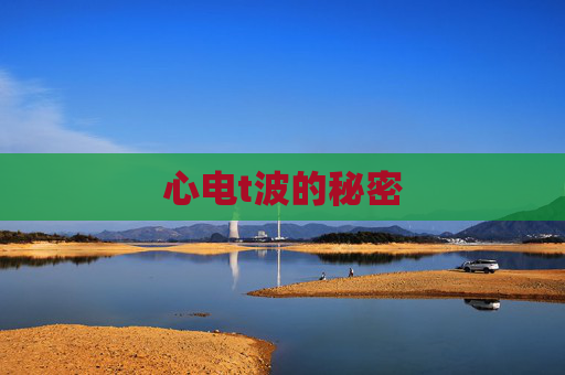 心电t波的秘密