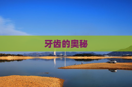 牙齿的奥秘