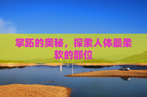 掌跖的奥秘，探索人体最柔软的部位