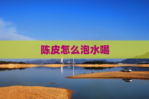 陈皮怎么泡水喝
