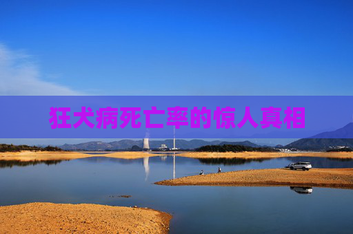狂犬病死亡率的惊人真相