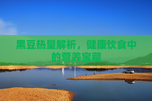黑豆热量解析，健康饮食中的营养宝藏