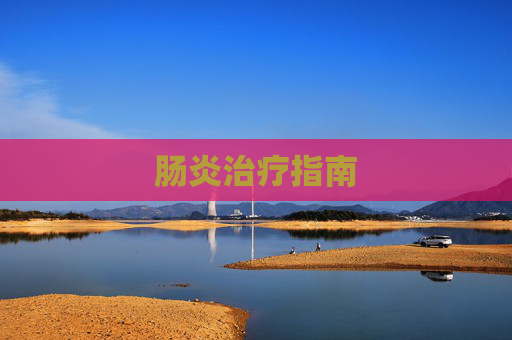 肠炎治疗指南