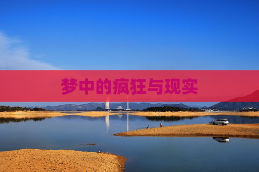 梦中的疯狂与现实