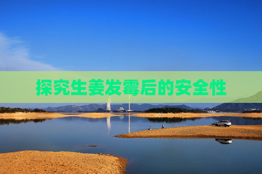 探究生姜发霉后的安全性