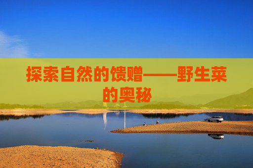 探索自然的馈赠——野生菜的奥秘