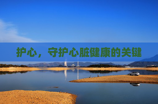 护心，守护心脏健康的关键