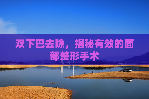 双下巴去除,揭秘有效的面部整形手术 双下巴去除,揭秘有效的面部整形手术