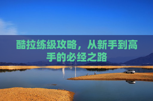 酷拉练级攻略，从新手到高手的必经之路
