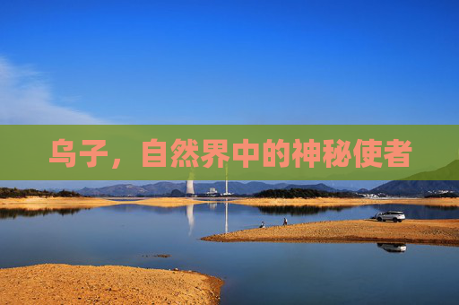 乌子，自然界中的神秘使者