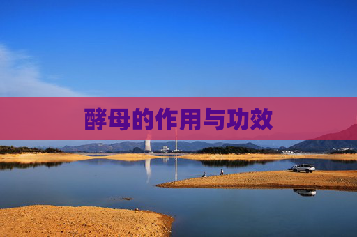 酵母的作用与功效 酵母的作用与功效