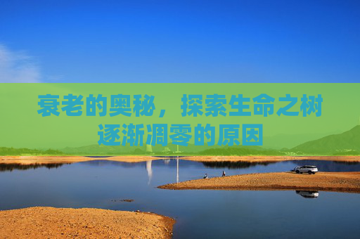 衰老的奥秘，探索生命之树逐渐凋零的原因