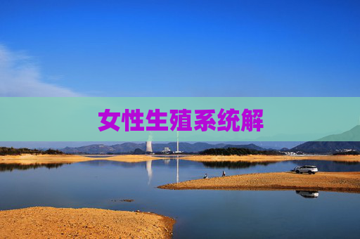 女性生殖系统解