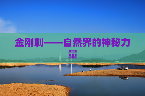 金刚刺——自然界的神秘力量