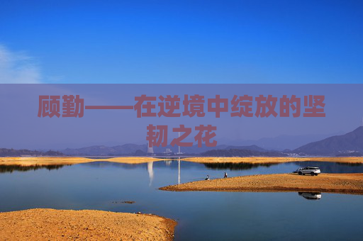 顾勤——在逆境中绽放的坚韧之花