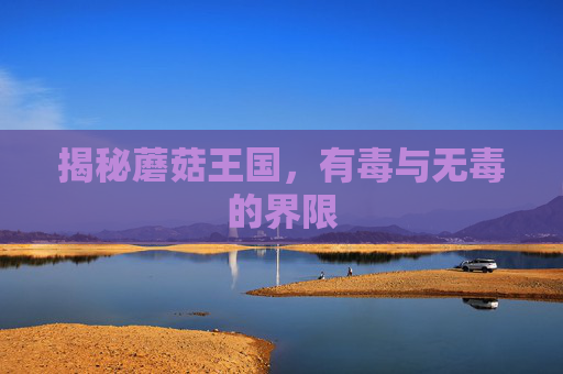 揭秘蘑菇王国，有毒与无毒的界限