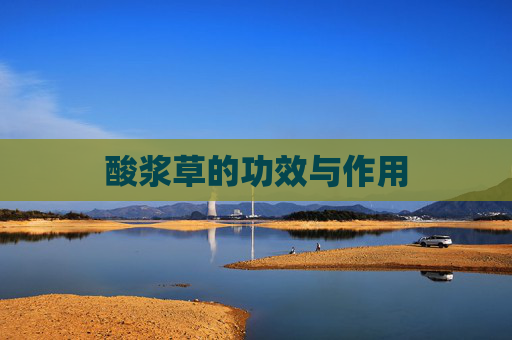 酸浆草的功效与作用 酸浆草的功效与作用