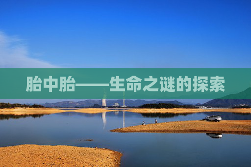 胎中胎——生命之谜的探索