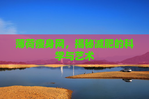 薄荷瘦身网，揭秘减肥的科学与艺术
