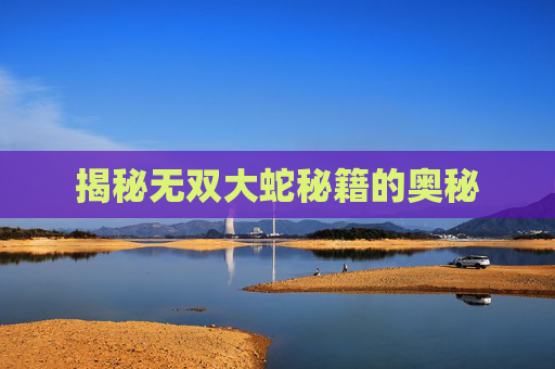 揭秘无双大蛇秘籍的奥秘