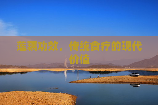 莲藕功效，传统食疗的现代价值