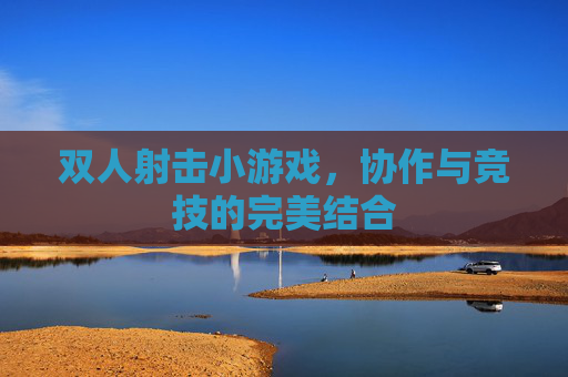 双人射击小游戏,协作与竞技的完美结合 双人射击小游戏,协作与竞技的完美结合