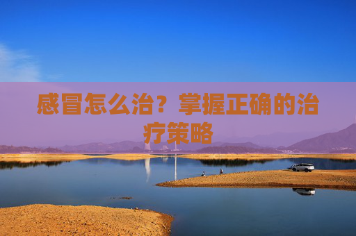 感冒怎么治?掌握正确的治疗策略 感冒怎么治?掌握正确的治疗策略