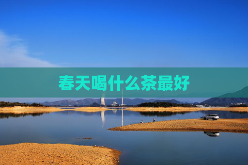 春天喝什么茶最好