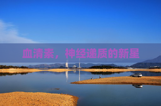 血清素，神经递质的新星