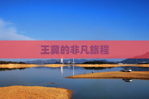 王冀的非凡旅程 王冀的非凡旅程