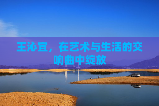 王沁宜,在艺术与生活的交响曲中绽放 王沁宜,在艺术与生活的交响曲中绽放