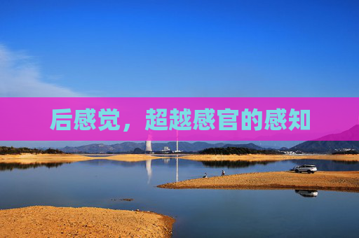 后感觉,超越感官的感知 后感觉,超越感官的感知