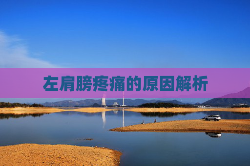 左肩膀疼痛的原因解析