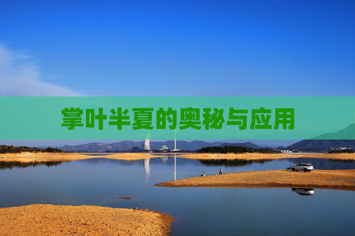掌叶半夏的奥秘与应用