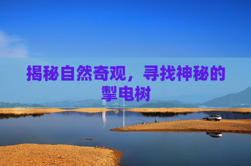 揭秘自然奇观，寻找神秘的掣电树