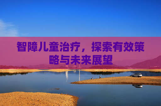 智障儿童治疗，探索有效策略与未来展望