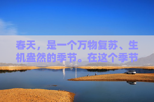 春天，是一个万物复苏、生机盎然的季节。在这个季节里，人们常常会举行一些特别的活动，以表达对自然的敬畏和对生命的热爱。其中，春之文祭便是一个典型的代表